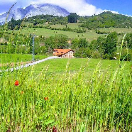 Вилла Casa Santa Leocadia Тама Экстерьер фото
